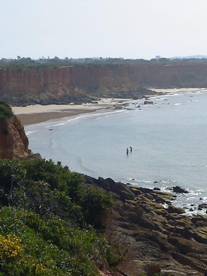 Mirador De Trafalgar Conil 科尼尔-德拉弗龙特拉 外观 照片